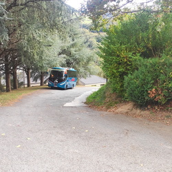 Dia 29 Girizu y Lindus